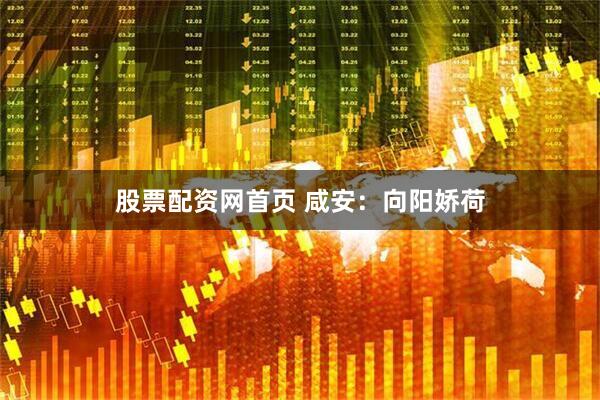 股票配资网首页 咸安：向阳娇荷